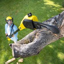 Best Arborist Consultation Services  in Gold Key Lake, PA